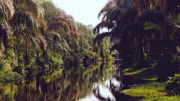 La Rivière Noire