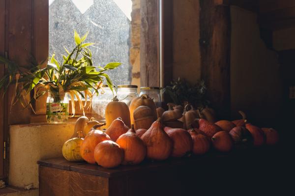 Potimarrons sous une fenêtre